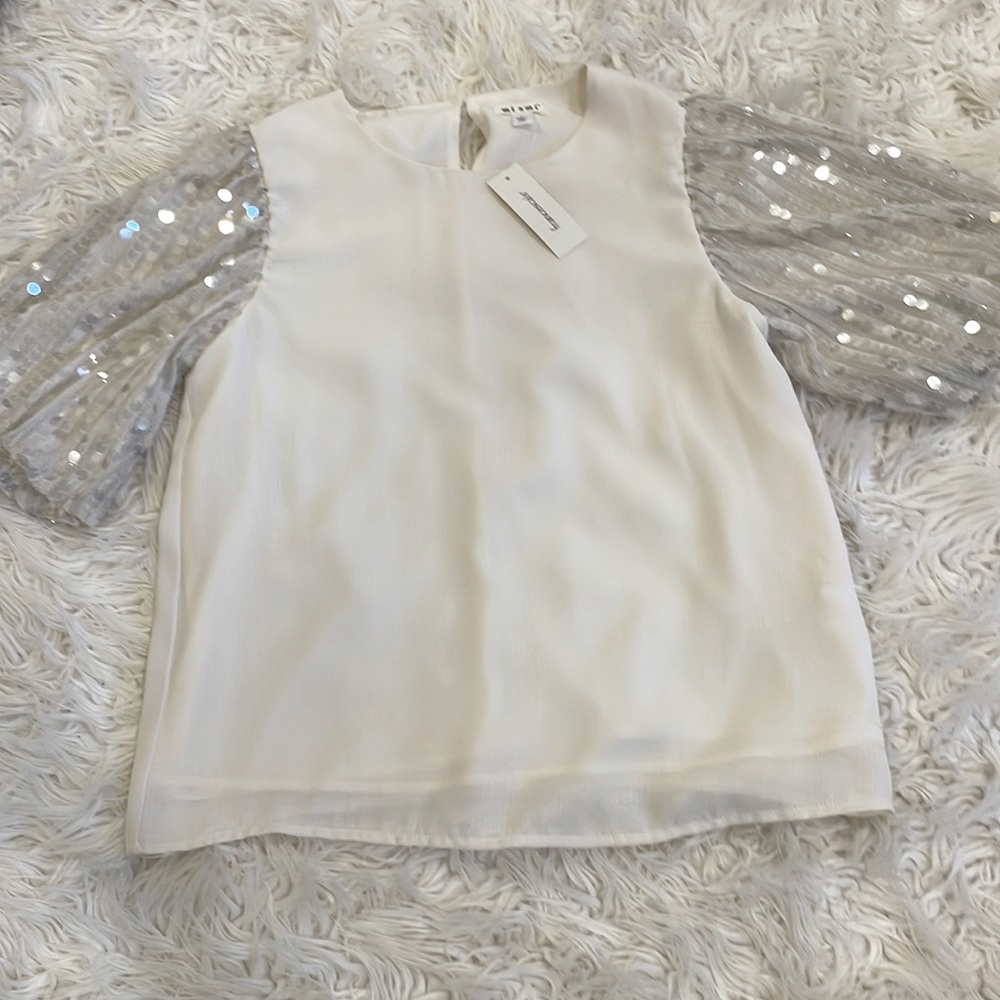 Sequin sleeved blouse
